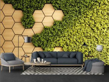 Landscape Designing
